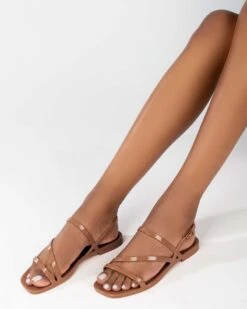 Melissa Essential Classy -Hot Sale Shoe Store 33409AD38911 2d4cf4b4 1274 48d5 8829 1a9f9d6c3c9e