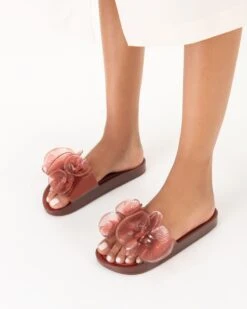 Hot Sale Shoe Store -Hot Sale Shoe Store unnamed d9673e71 10ba 4cb4 9756 992b046ab23d